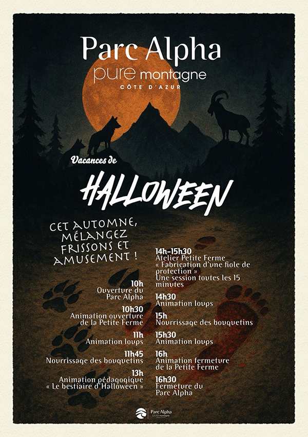 2025 Halloween    affiche programme